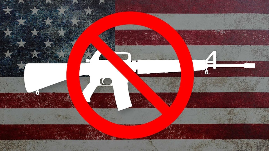 US Gun Laws