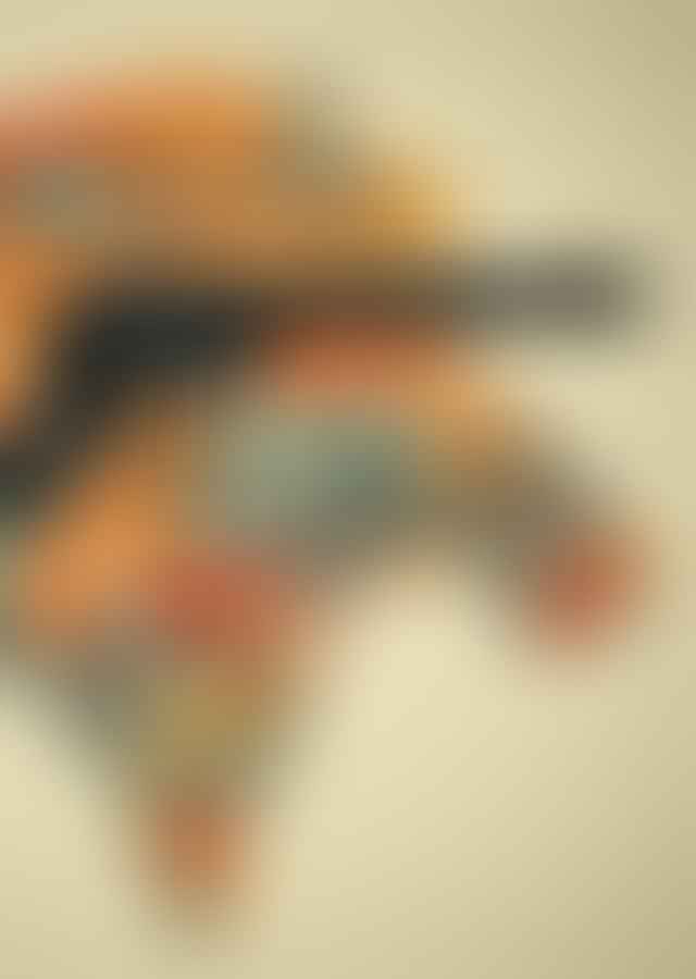 Exploring the Complex Landscape of Gun Laws in Louisiana: A Detailed Study