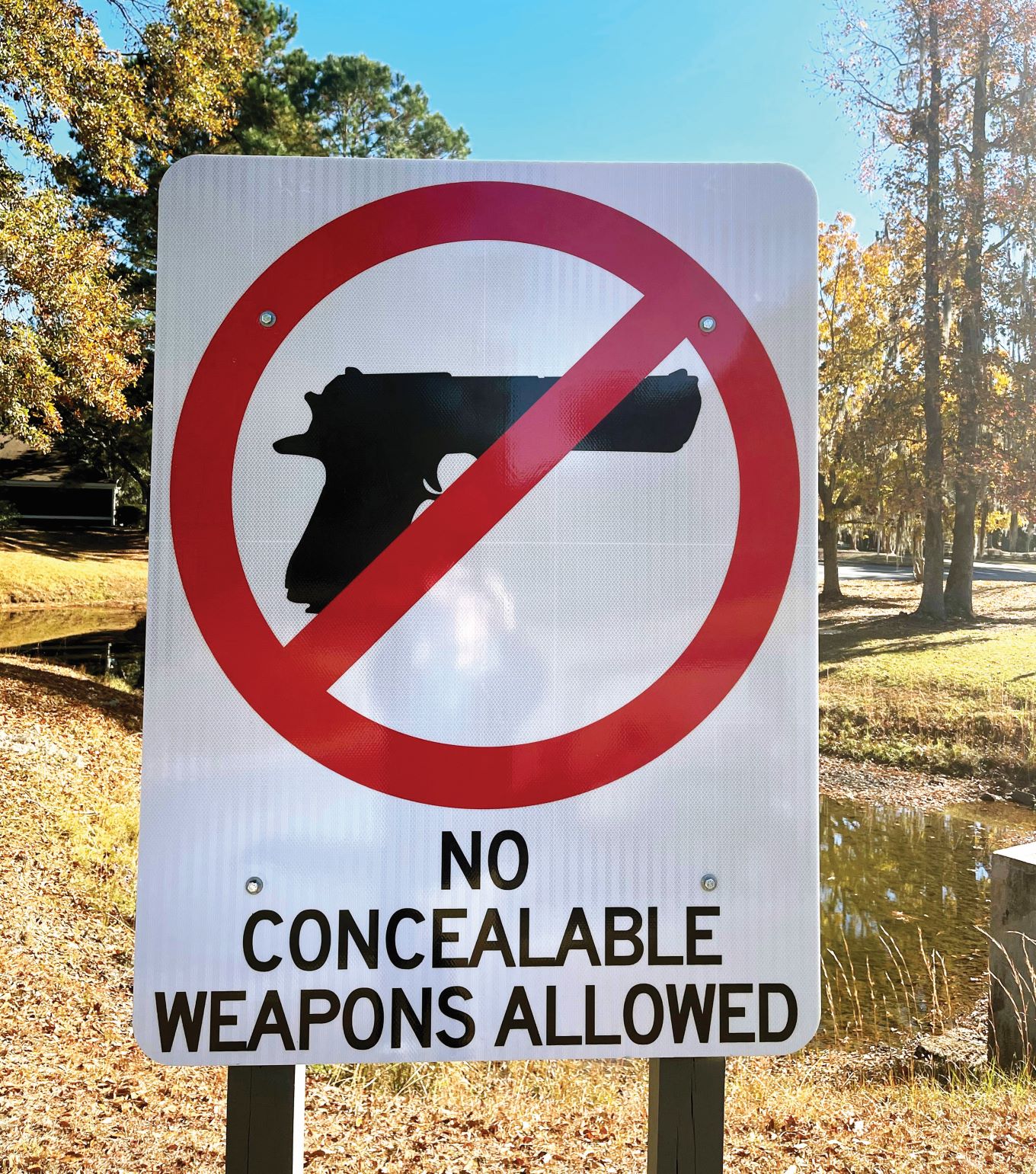 No firearms allowed sign
