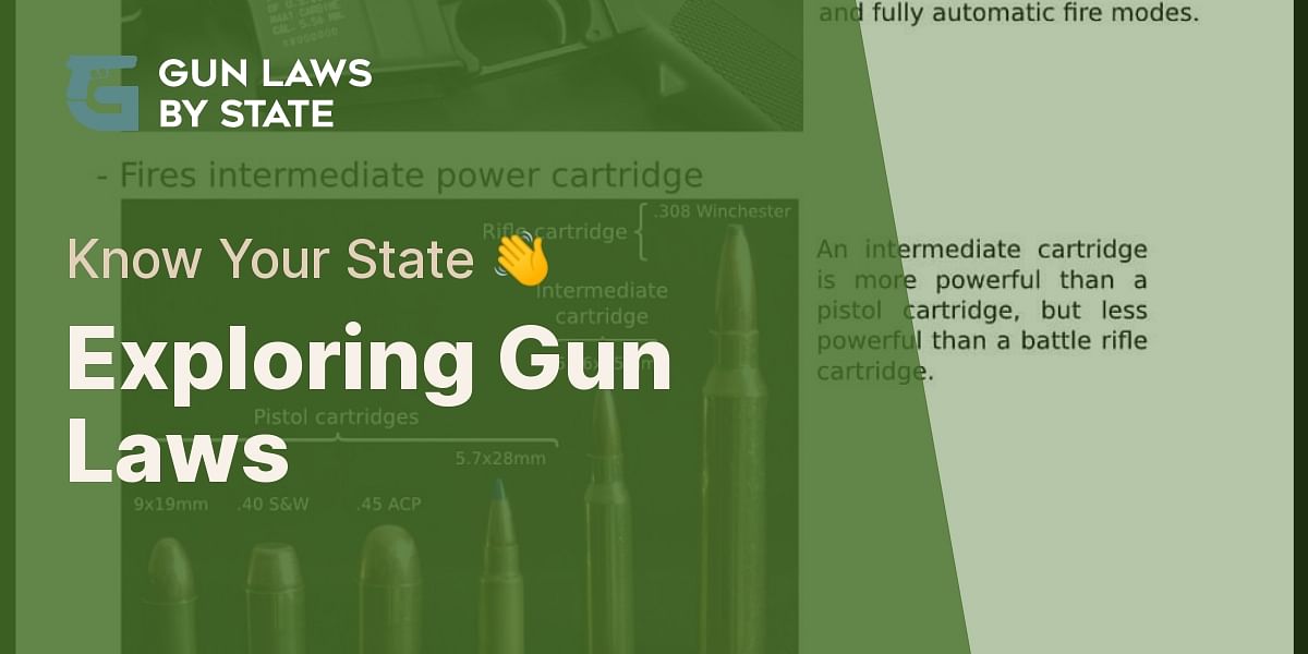 What are the gun laws in each state?