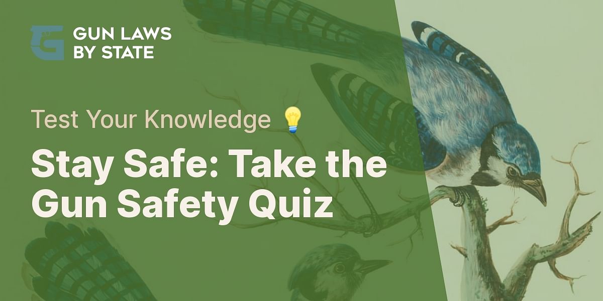 Gun Safety Rules Quiz Test Your Knowledge Gun Laws by State