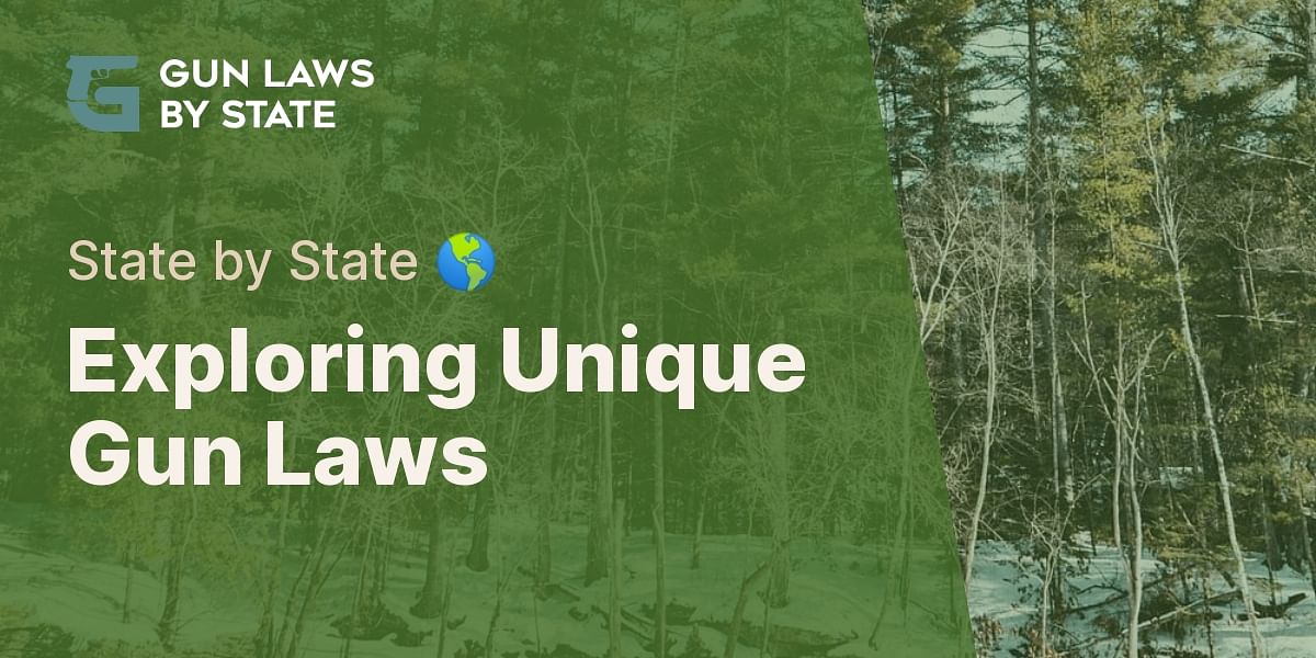 Unique Gun Laws in Different U.S. States Gun Laws by State