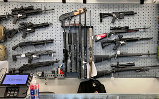 Should gun ownership be strictly regulated?