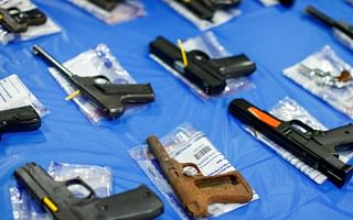 What are the major flaws in the USA's gun laws?