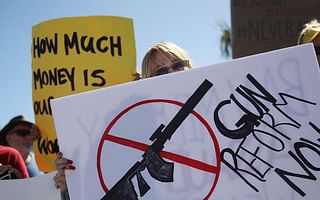 What are the pros and cons of gun control laws?