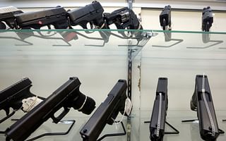 Which states are considered affordable and pro-gun?